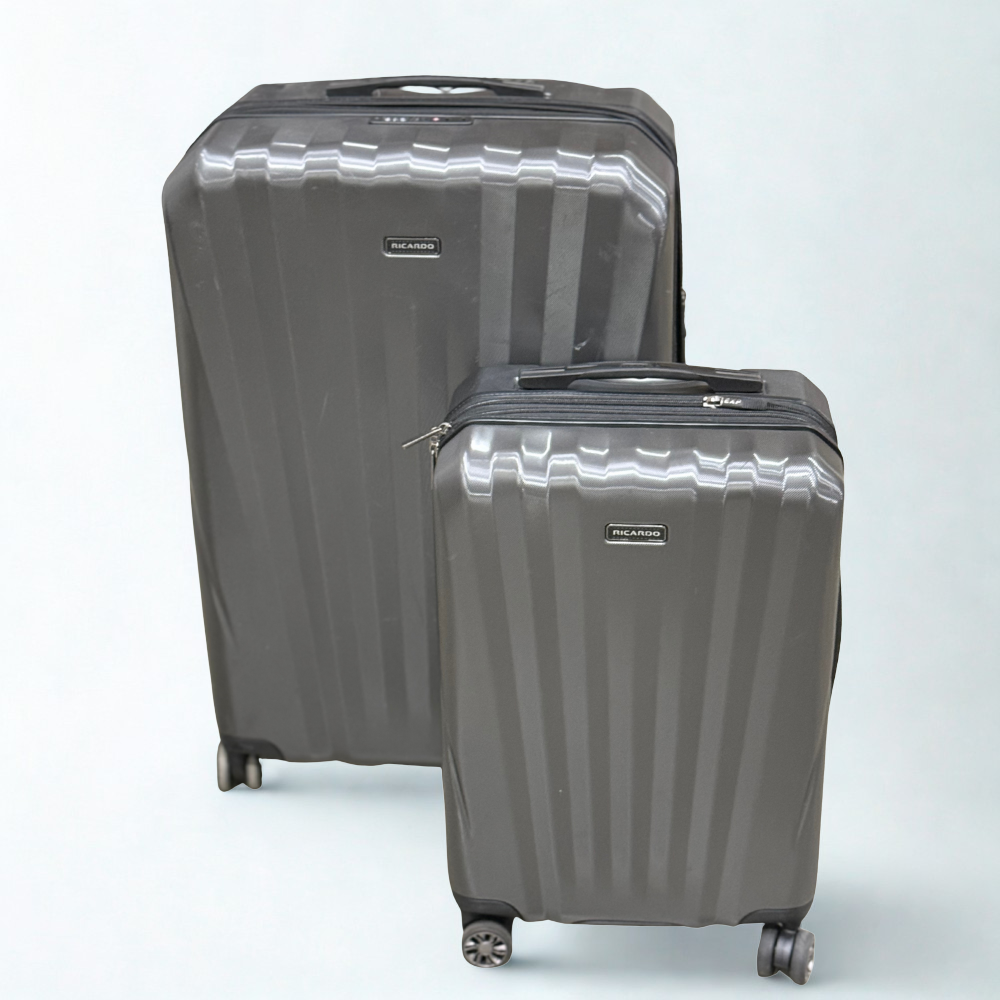 Ricardo Beverly Hills Windsor 2‑Piece Hardside Spinner Luggage Set – Matte Gray
