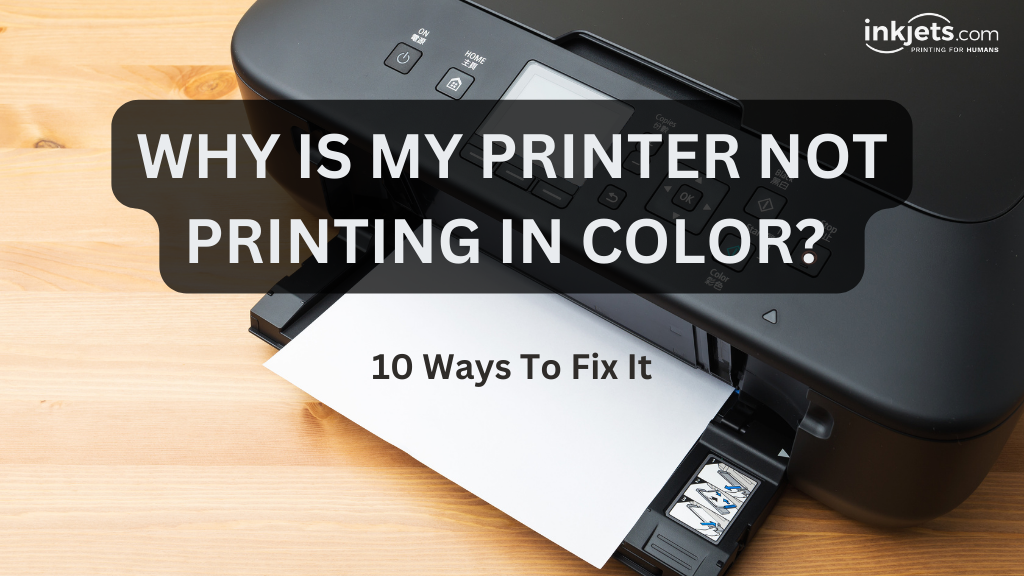 Why Is My Printer Not Printing In Color? 10 Ways on How to Fix it